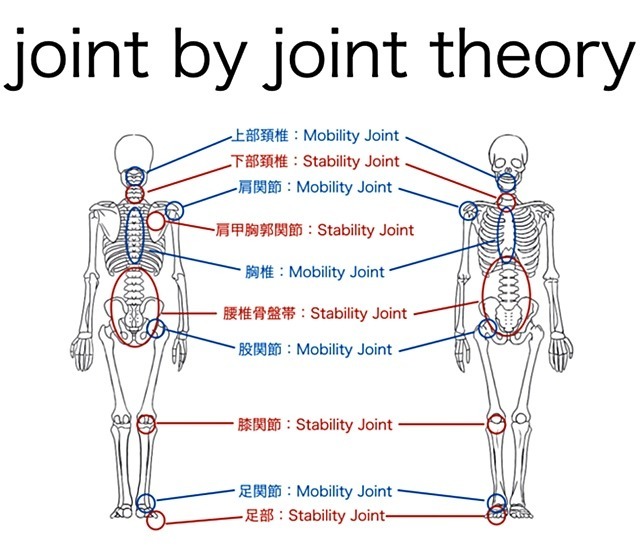 joint-by-joint-theory.jpg